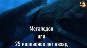 🎬 Про динозавров: Мегалодон - обитатели морей. Динозавры. Фильмы про динозавров Мультики для детей