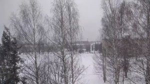 Подарок от  прабабушки .Осталась одна  дома