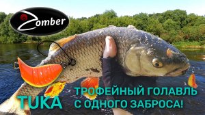 Первые трофеи лета 2025. Голавль перекатов Черноземья. Уловистые проводки кайта ТУКА