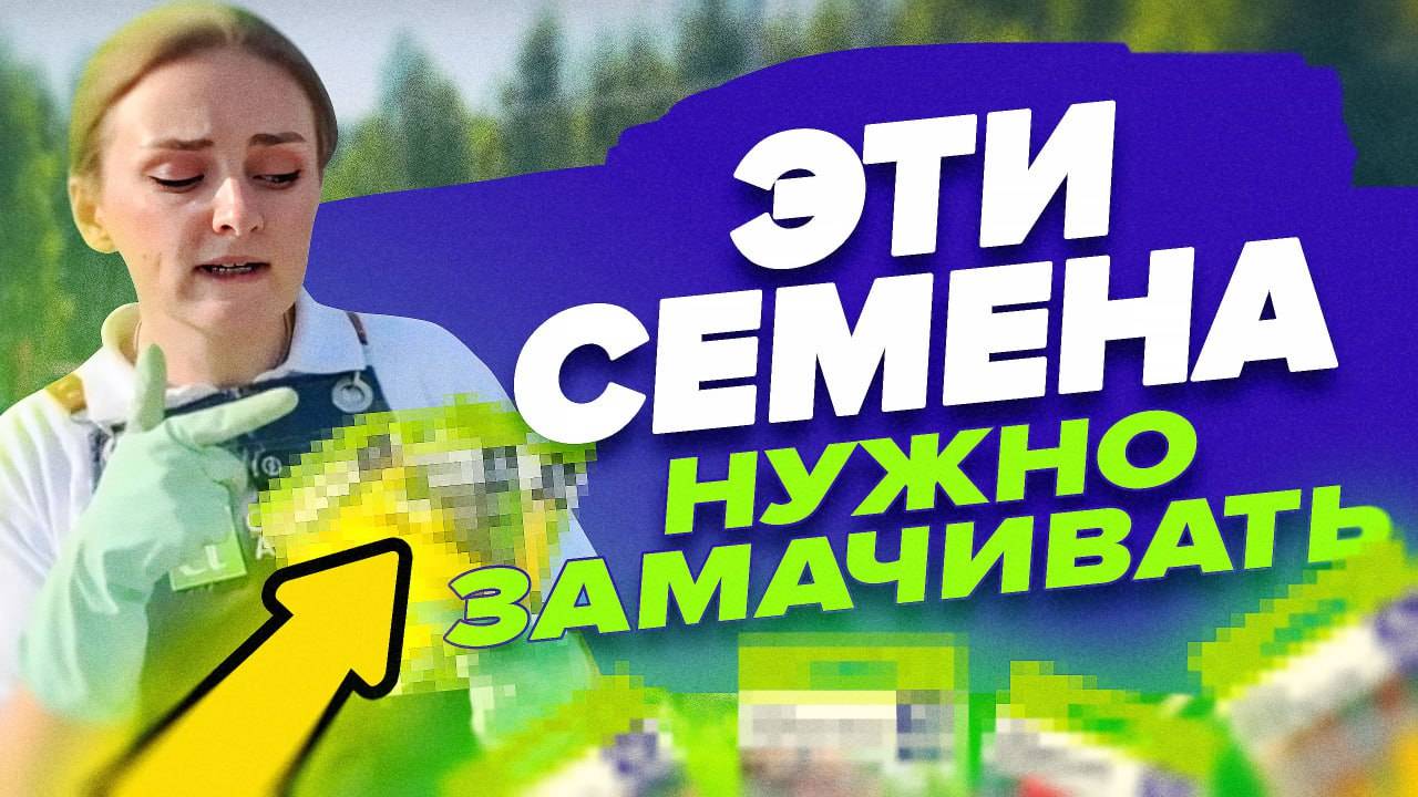 КАКИЕ СЕМЕНА НУЖНО ЗАМАЧИВАТЬ? смотреть онлайн