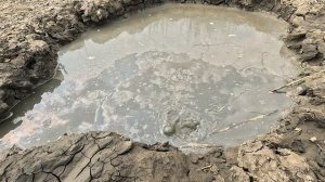 Кучугуры, грязевой вулкан Плевак, купаемся.