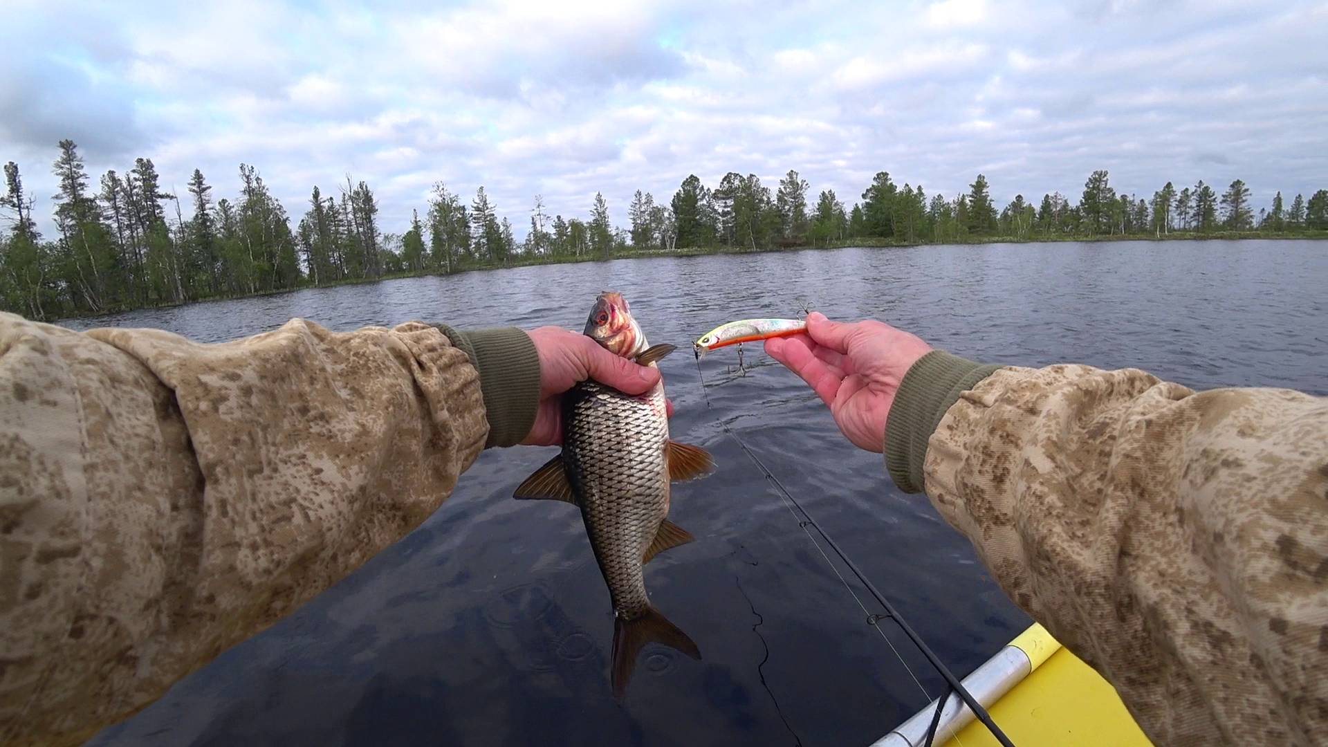 К ОЗЕРУ ЧЕРЕЗ ЗАТОПЛЕННЫЙ ЛЕС.ПОЙМАЛ 4 ВИДА РЫБЫ НА ЭТОТ ВОБЛЕР.РЫБАЛКА НА СПИННИНГ. смотреть онлайн