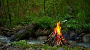 Костёр у горной реки. Медитавные звуки природы для перезагрузки и релакса.