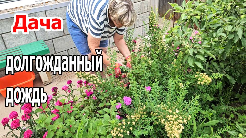 Дача.Долгожданный дождь.Град обошел нас стороной.Жарим рыбу.Июнь 2025 смотреть онлайн