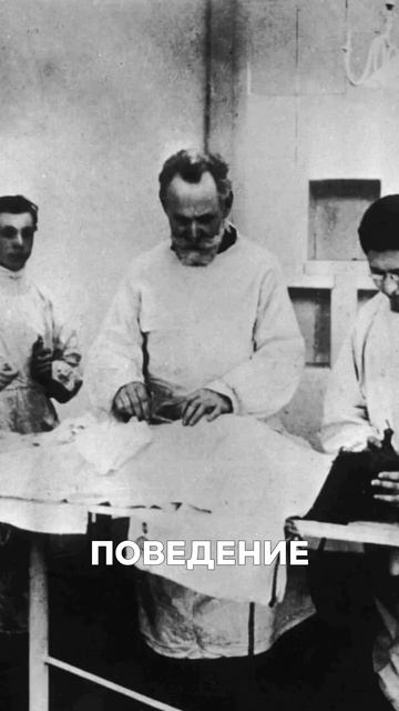 ПАВЛОВ доказал: поведение можно ИЗМЕНИТЬ! 🚀 Как это работает? #Психология #Наука