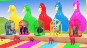 Мультики про уточек и яркие машинки. Мультики для малышей. Смотреть онлайн мультики про машинки.