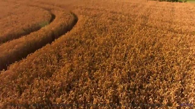 Почему это видео вызывает такие сильные эмоции - Memoria (Mythic Mix) -- AKMV-18 -- Damnatio Memoria