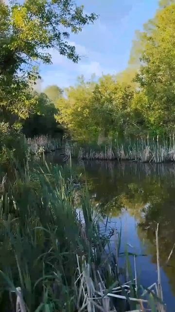 рыбачу на реке Бузулук