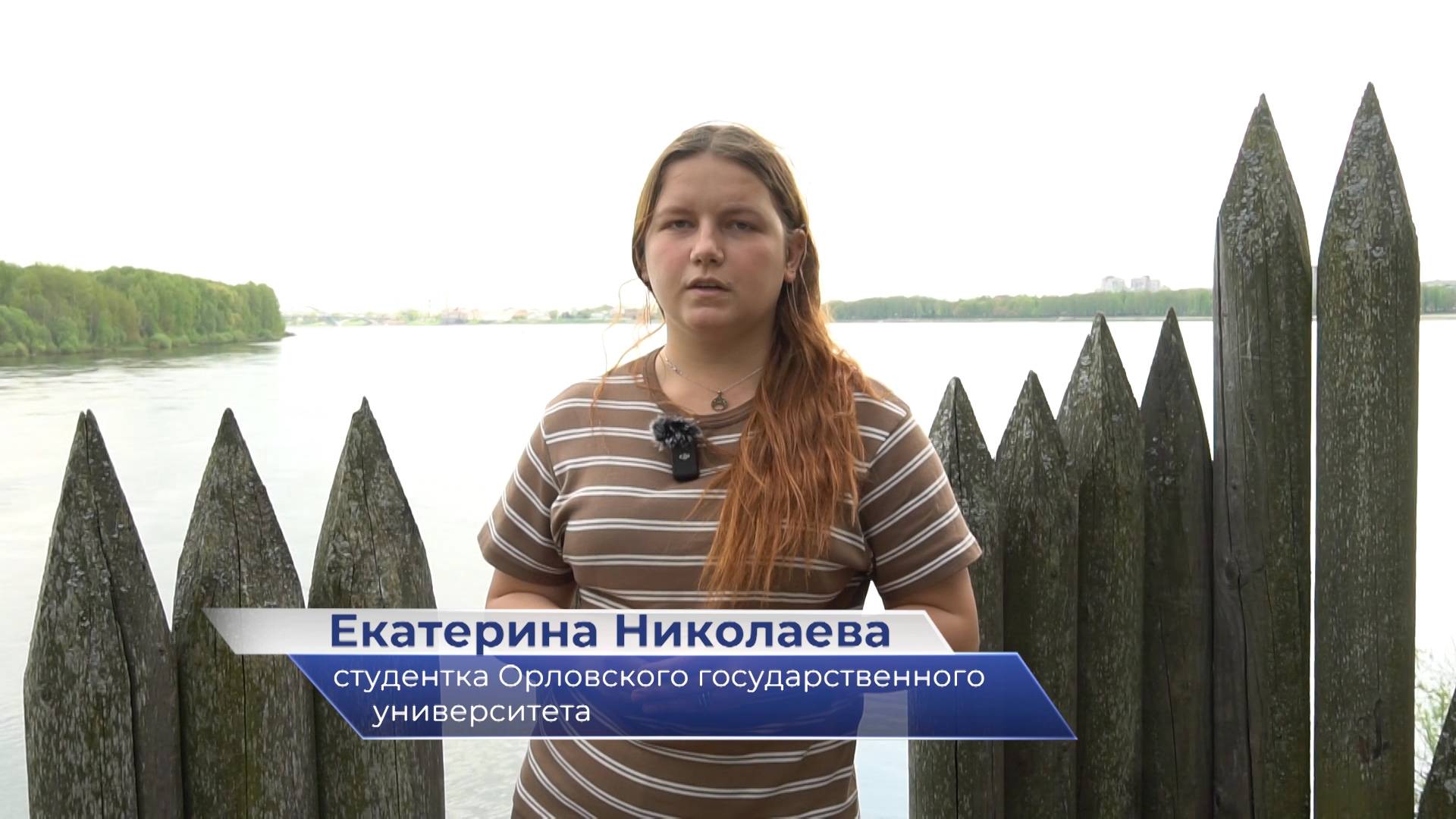 Екатерина Николаева – научно-практическая школа «Средневековая Русь в контексте всемирной истории» смотреть онлайн