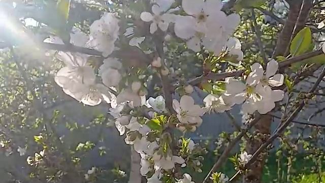 КОМЕДИЯ РОК Что будет!!! смотреть онлайн