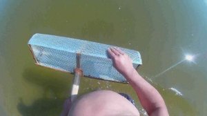 сито для поиска украшений на пляже. ПЛЯЖНОЕ СИТО