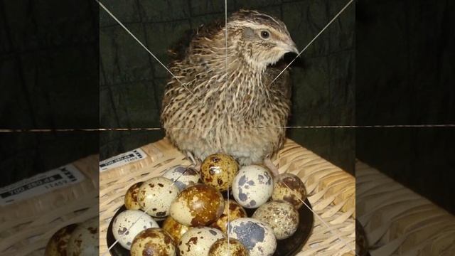 Это интересно-5