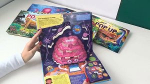 Серия POP-UP энциклопедии (Обучение)
