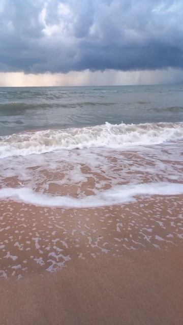 Казантипский залив, село Новоотрадное, Крым. Азовское море волнуется смотреть онлайн