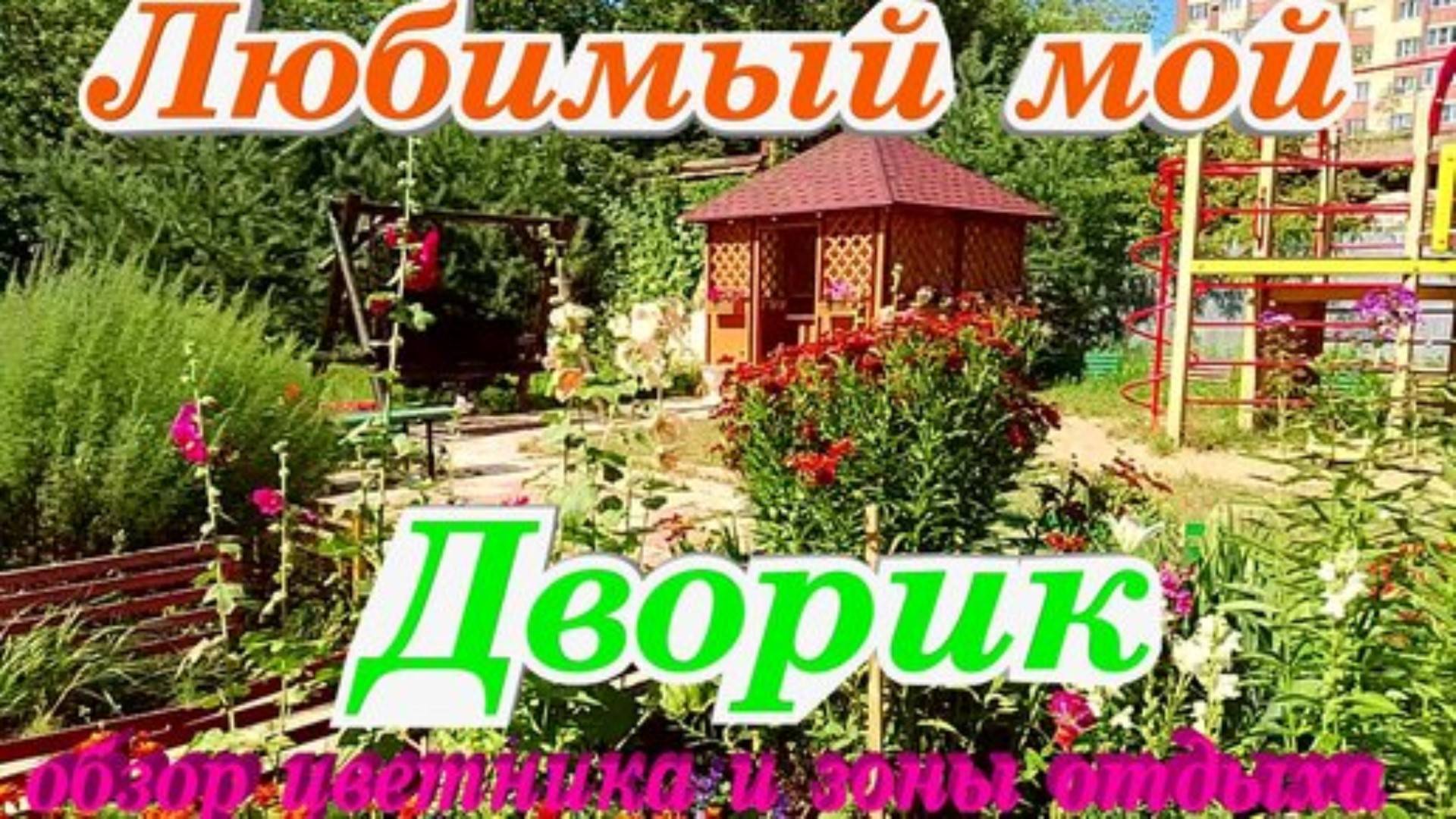 Кострома Мой красивый цветущий дворик