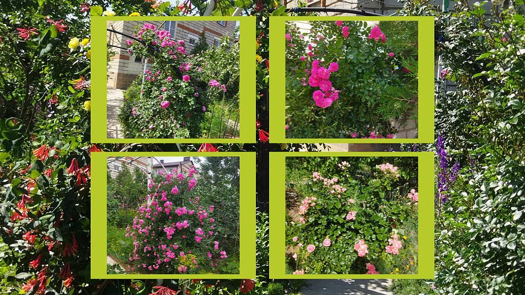 ВОТ И ЛЕТО ПРИШЛО 2025 Г