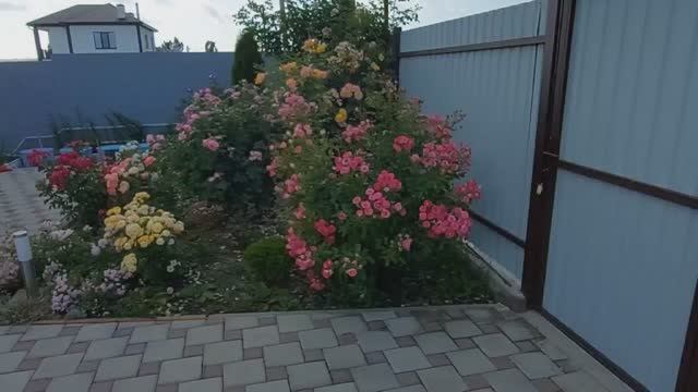 Прогулка по саду после дождей. смотреть онлайн