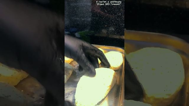 #Варим сыр и ЕДИМ// в гостях у СЫРОВАРА #vlog #сырхалуми