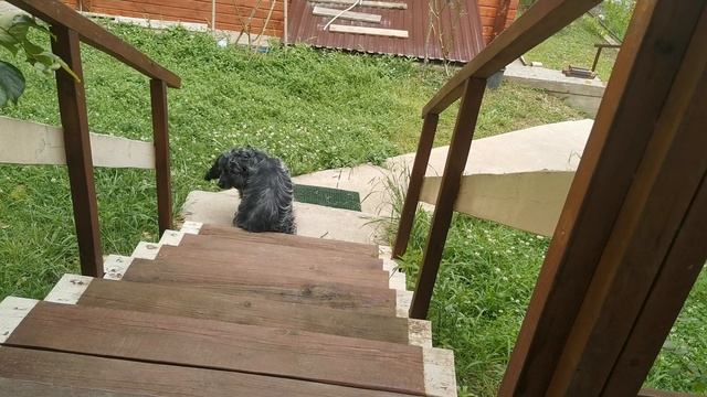 СОЧИ ГОРНОЕ ЛОО ВЕЧЕР 17.06.2025 смотреть онлайн