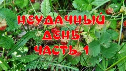 НЕУДАЧНЫЙ ДЕНЬ ЧАСТЬ1 смотреть онлайн