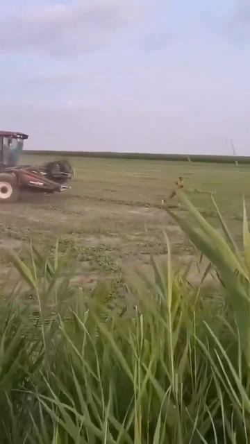 Ну, погоди!!! По украйнски 😁 ТЦКшник убегает смотреть онлайн