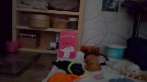 небольшой вопрос-ответ ! ❋