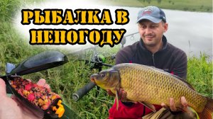 Рыбалка на карпа и толстолобика после нереста #рыбалка #fishing #carpfishing #feeder #лето2025 #carp