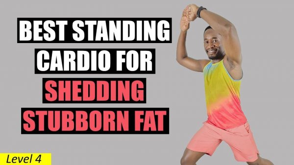 Brian Syuki - 30 Min No Jumping Cardio to Shed Stubborn Fat Fast - Full Body Fat Burn