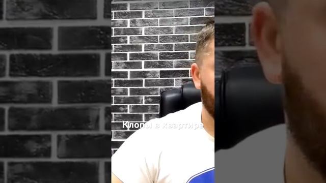 История о том, как вывести клопов в квартире. Полное видео на канале