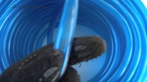 Шланг пищевой D-12,5х3 из ПВХ без армировки