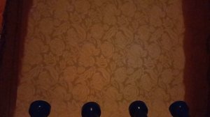 Цветомузыка "Радуга-L" в комплекте с одиночными светильниками.