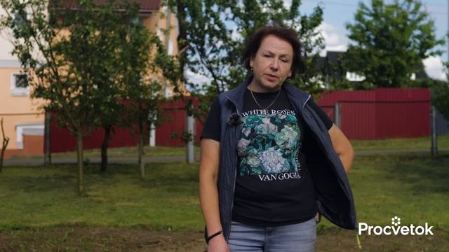 ВСЁ, ЧТО НУЖНО ЗНАТЬ О КУКУРУЗЕ, чтобы получить море сладких початков! Как сажать, чем подкормить смотреть онлайн