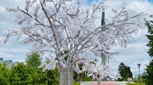 Западная Сибирь город Когалым