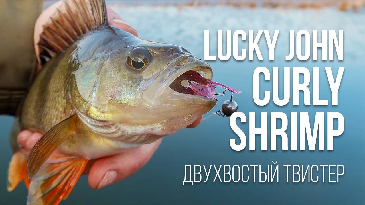 Обзор Lucky John Curly Shrimp — гибрид рака и твистера. Все о монтаже, проводках, цветах смотреть онлайн