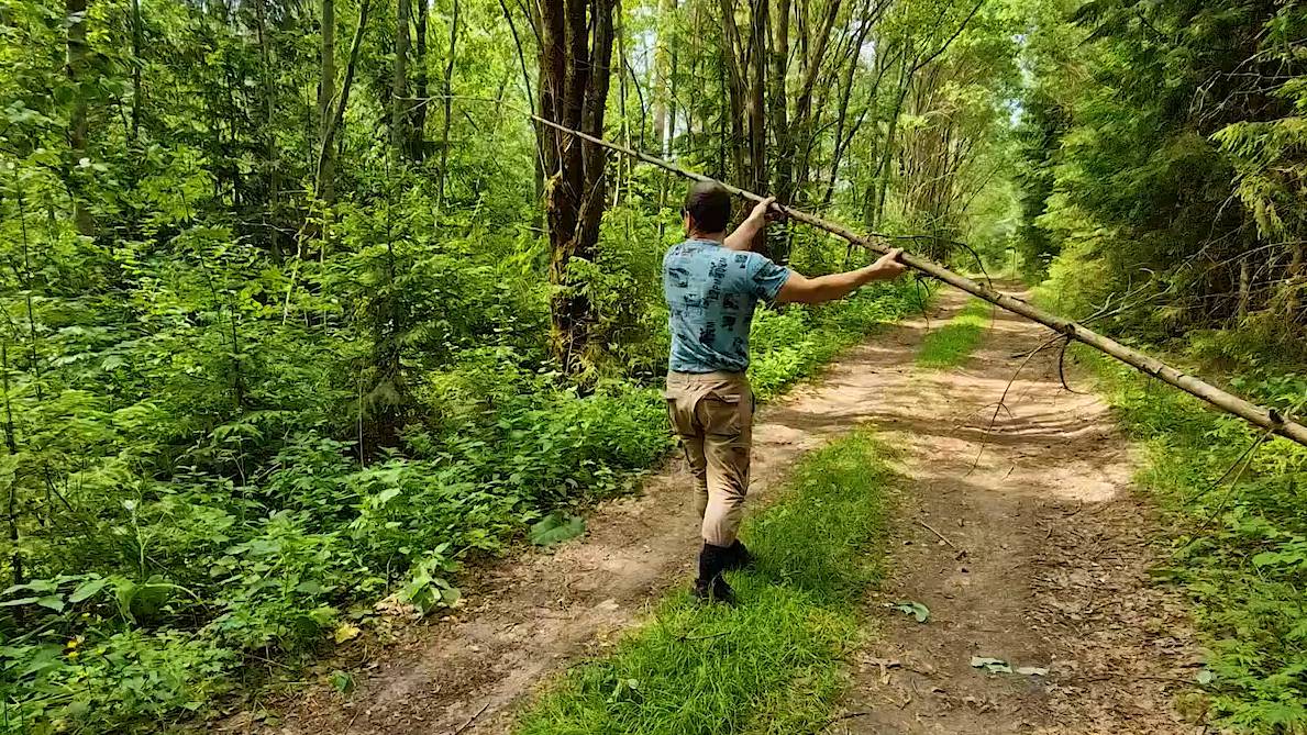 По ягоды, по грибы на разведку после урагана. Море лесных орхидей. Лес гибнет от него! смотреть онлайн