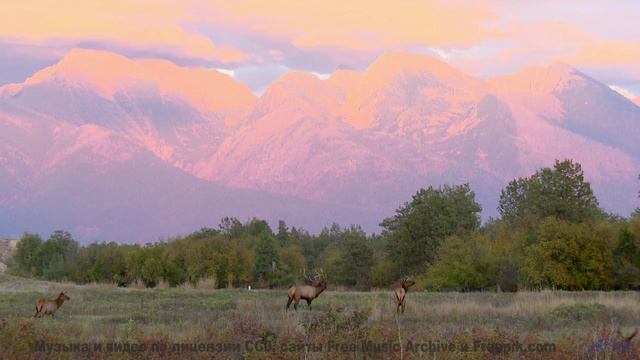 Музыка и виды - от которых не оторваться - WitchCraft -- HoliznaCC0 -- Orphaned Media