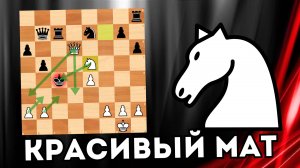 Красивый разгром и прогулка Короля до мата