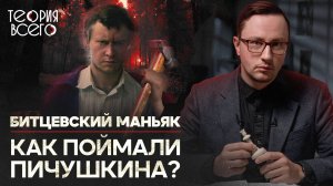 Битцевский маньяк: убийца-«шахматист» Александр Пичушкин / Последователь Чикатило | Теория Всего