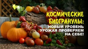 Все секреты здорового огорода — пробиогранулы + эко биотехнология АС-35