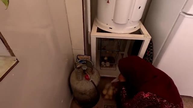 Тайяба в одиночку управляет фермой, капельное орошение деревьев смотреть онлайн