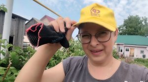 Можно ли без выпаса, без травы содержать коз?