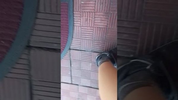 анонимусы против дастера часть 1