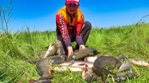 РЫБАЛКА НЕ ДЛЯ СЛАБОНЕРВНЫХ! ДИКИЕ САЗАНЫ ГНУТ ПАЛКИ ДО ВОДЫ И РВУТ КРЮЧКИ! Рыбалка на сазана 2025