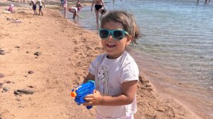 🔥ЕГИПЕТ 2025. PARROTEL BEACH RESORT 5* ЩАРМ ЭЛЬ ШЕЙХ