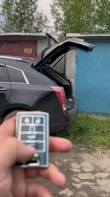 IMG_4620 смотреть онлайн