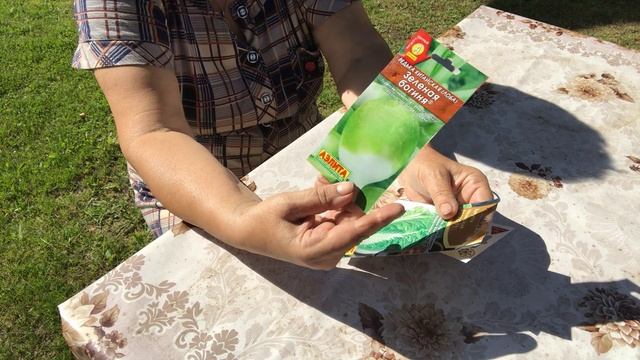 Сроки посадки чёрной редьки семенами в открытый грунт смотреть онлайн