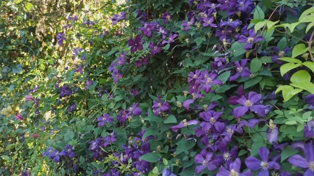 Летние работы продолжаются. смотреть онлайн