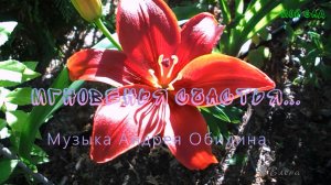 Мгновенья счастья  * Мой сад