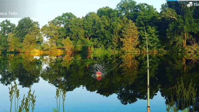 Как поймать щуку обыкновенную в игре My Fishing World смотреть онлайн