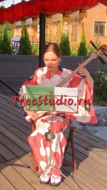 Японская национальная фолк музыка на сямисене (японской этно гитаре)
